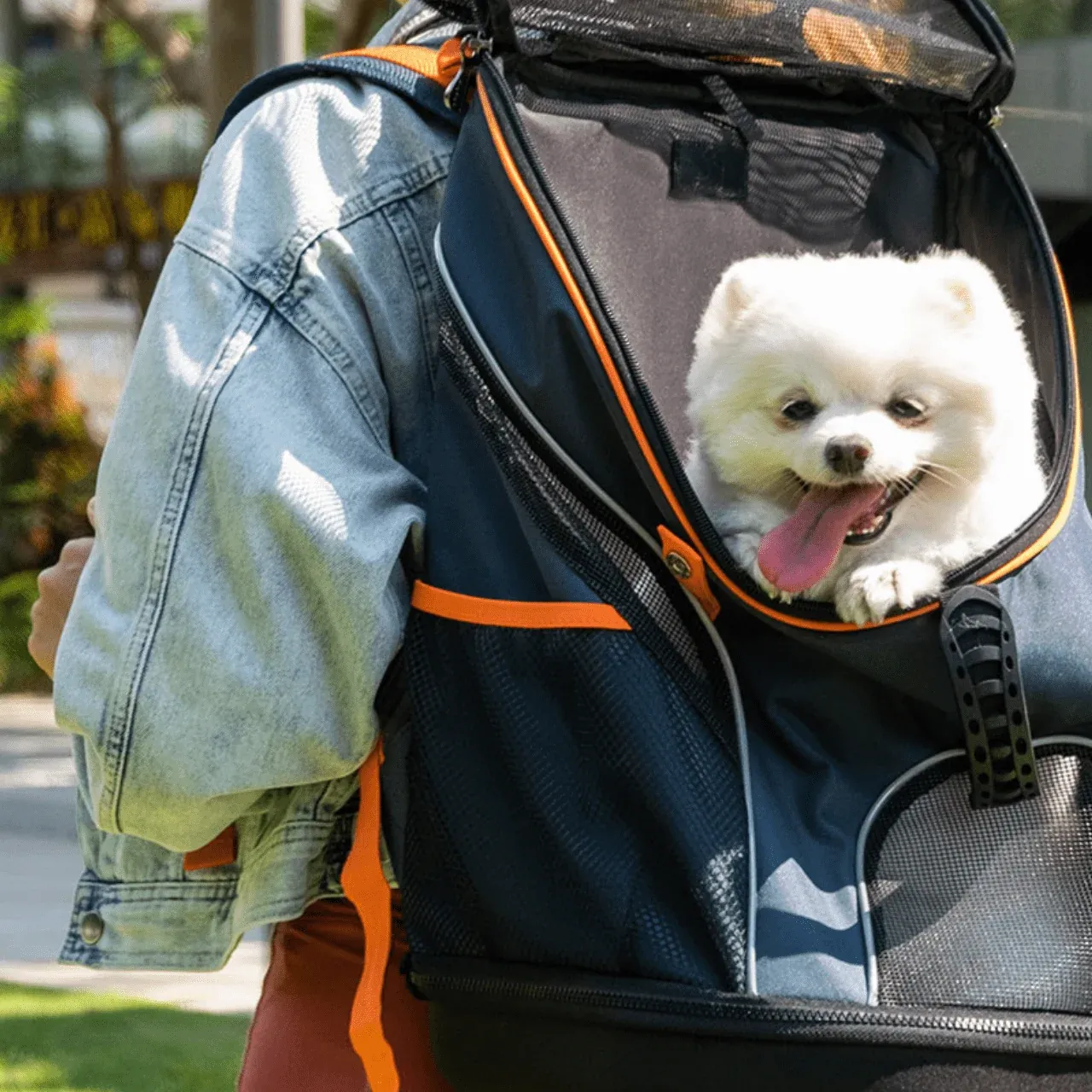 Papoose For Dogs